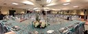 Aqua Silver Quince 4
