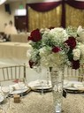 Burgundy Quince 10