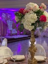Rose Gold Quince 7